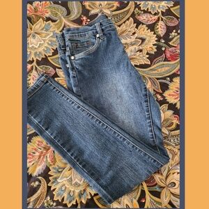 Venus Medium Wash High Rise Skinny Jeans - Size 4